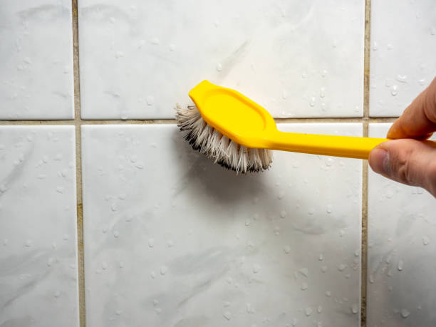 Best Mold Cleaning Services  in Mclean, TX