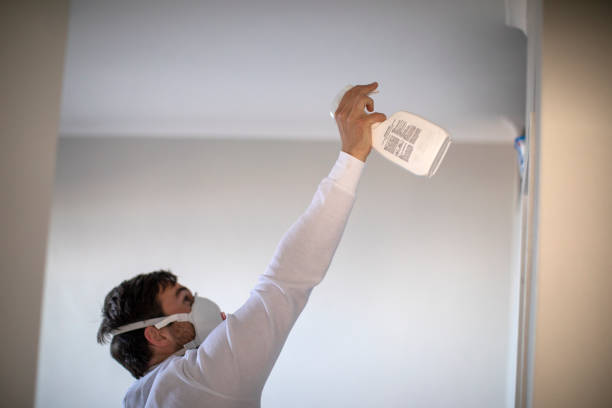 Attic Mold Removal in Mclean, TX
