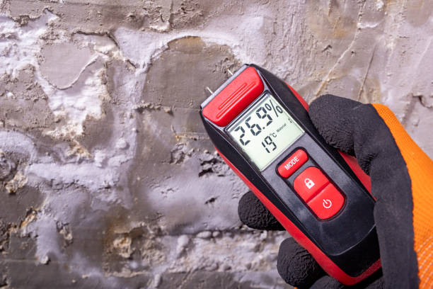 Trusted Mclean, TX Mold Removal Experts