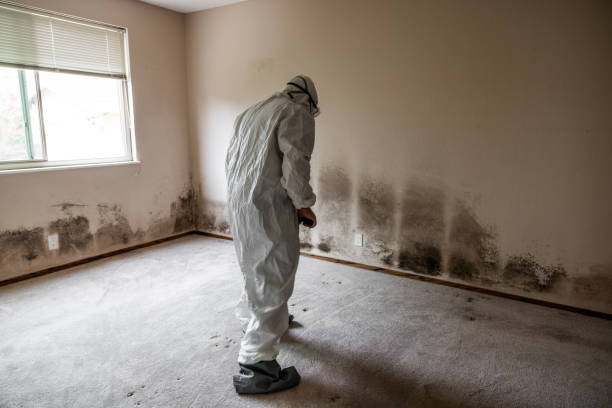 Best Crawl Space Mold Removal  in Mclean, TX