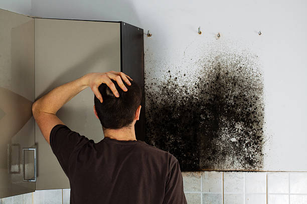 Best Attic Mold Removal  in Mclean, TX